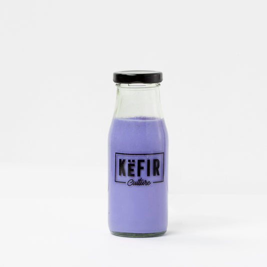 Blueberry Milk Kefir- Probiotic Kefir Yogurt Smoothie (A2 Milk)